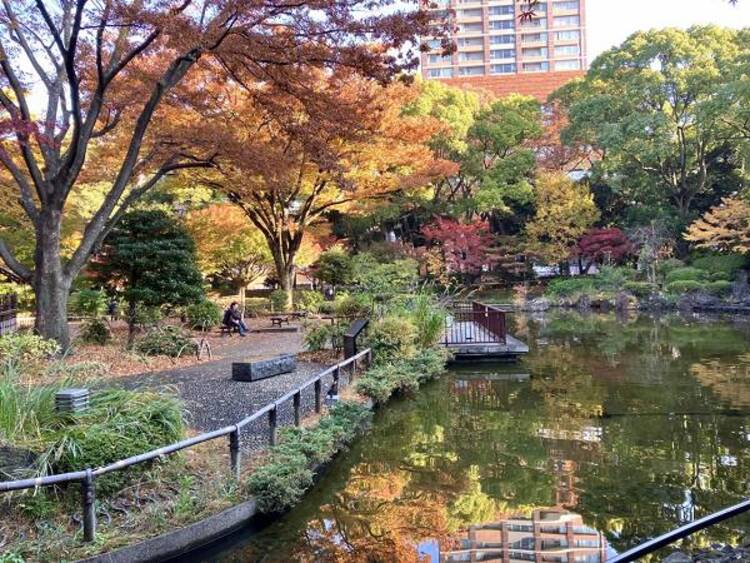 周辺 横浜公園　450m