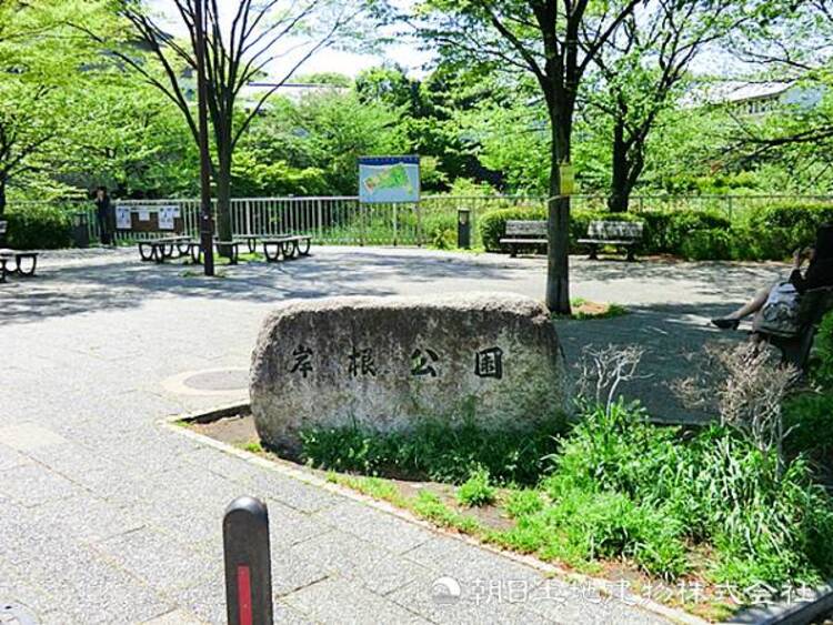周辺 【岸根公園】500ｍ　約１４ヘクタールの広大な敷地に大型アスレッチクや大きな原っぱなど遊び場がたくさんあります。池や四季折々の自然の中でお散歩や森林浴を楽しむことができます。