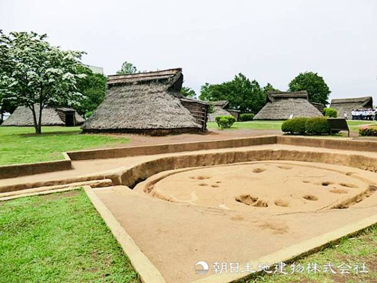 周辺 【大塚・歳勝土遺跡公園】260ｍ　弥生時代のムラと墓地が復元された歴史公園です。竪穴住居や高床式倉庫など昔の農村暮らしを体感しながら、豊かな緑の中で過ごせる憩いの場です。