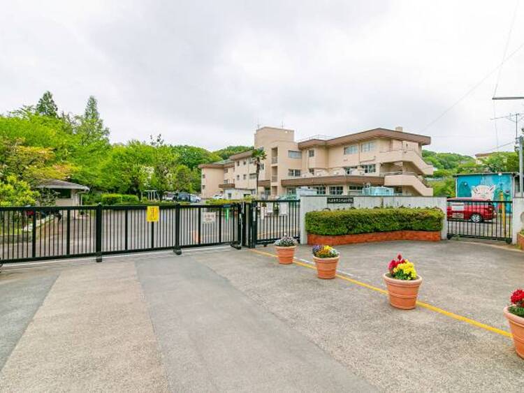 周辺 八王子市立中山小学校迄300ｍ