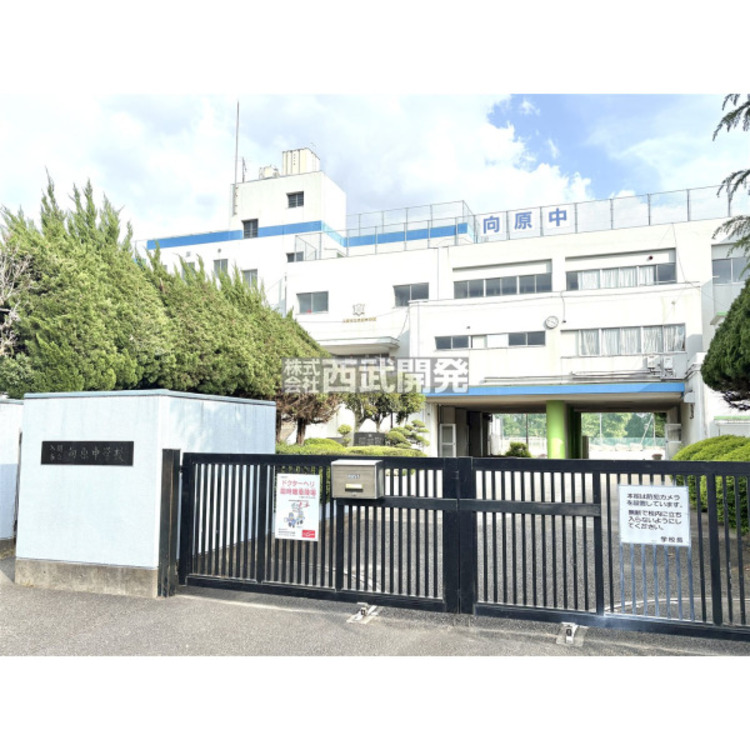 周辺 向原中学校(約1100m)