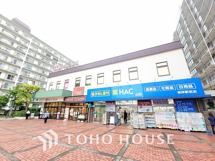 周辺 東急ストア 根岸店　距離850ｍ