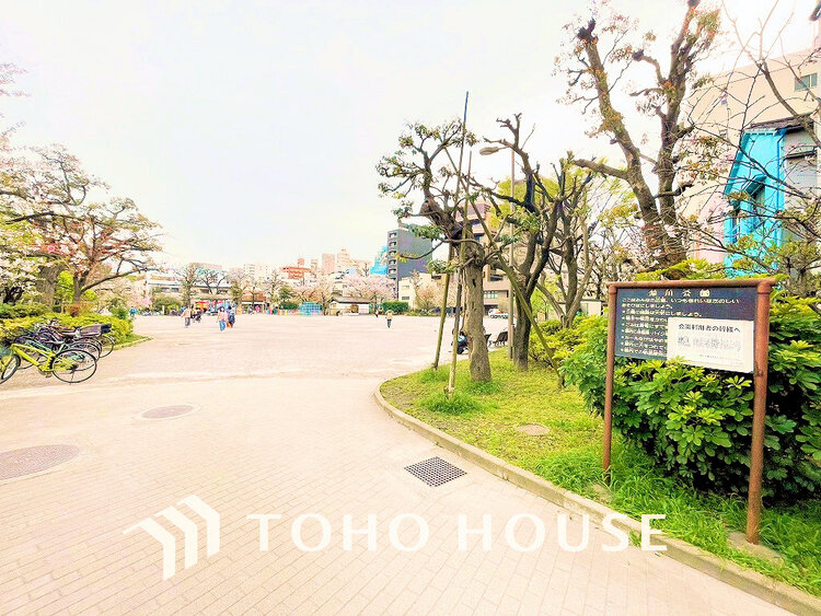 周辺 深川公園　距離550m