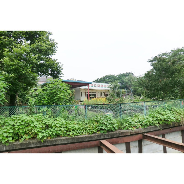 周辺 田無向ヶ丘幼稚園(約750m)