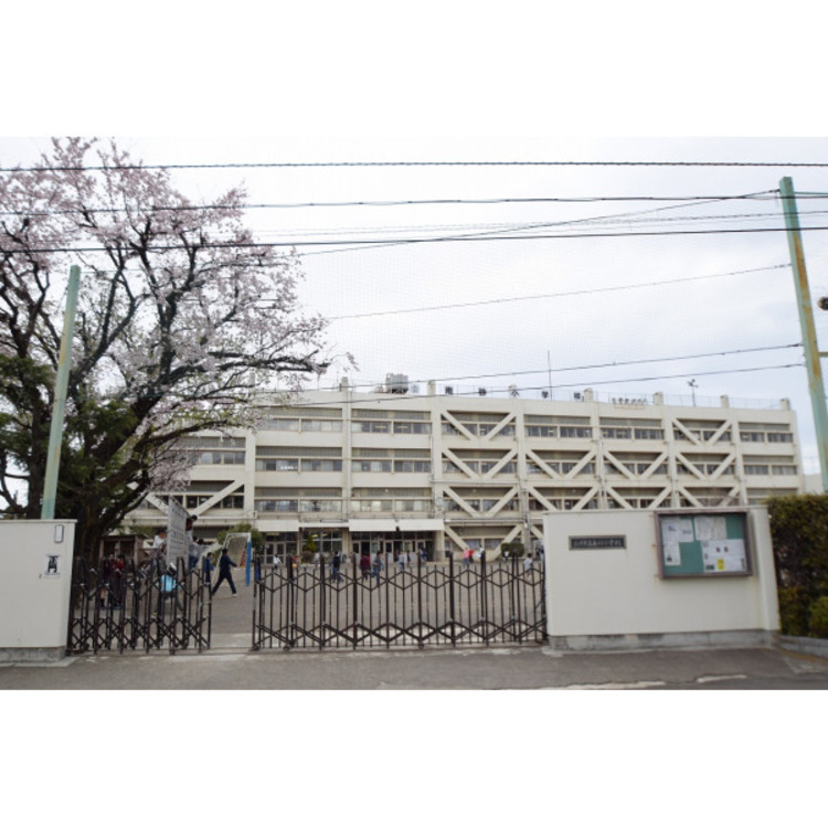周辺 南砂小学校(約1100m)
