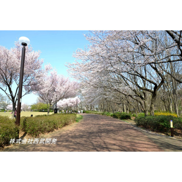 周辺 東村山中央公園(約180m)