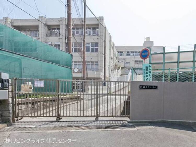 周辺 横浜市立稲荷台小学校	560m