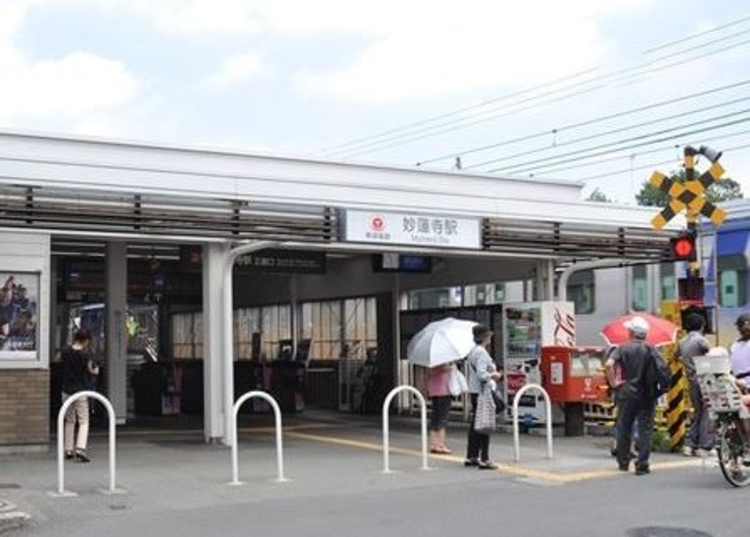 周辺 東急東横線 妙蓮寺駅まで徒歩６分（約480ｍ）