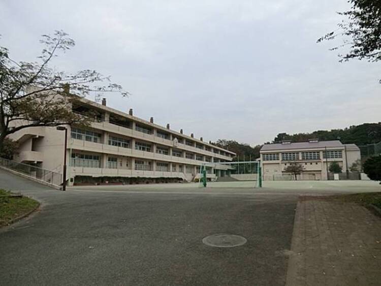 周辺 横浜市立本牧小学校まで約380ｍ
