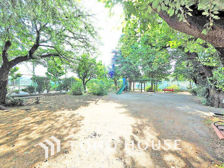 周辺 丸山児童公園　距離350ｍ