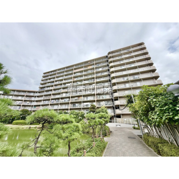 外観 全493戸の大規模マンションの最上階のお部屋です。陽当たり・眺望とっても良好！2023年6月リノベーション済みです。