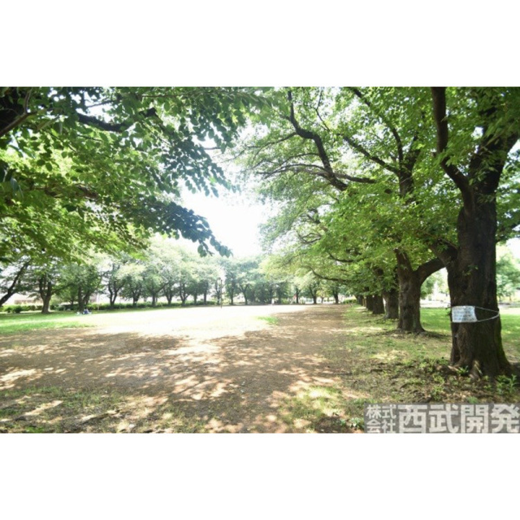 周辺 みずほ台中央公園(約450m)