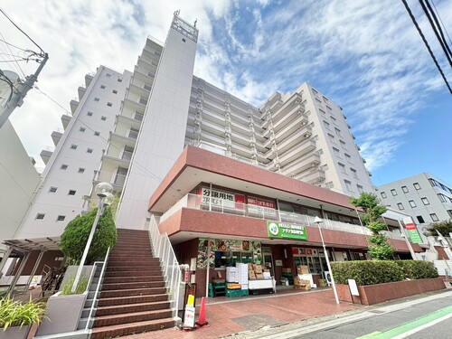 ストーク草加一番館の物件画像