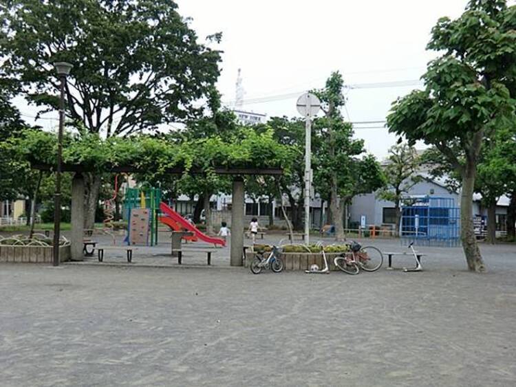 周辺 市場公園　590ｍ