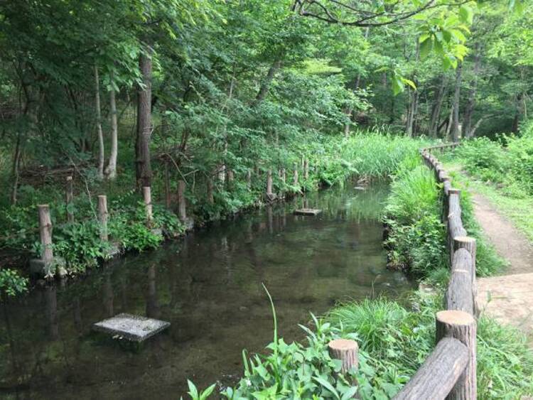 周辺 黒川清流公園迄460ｍ