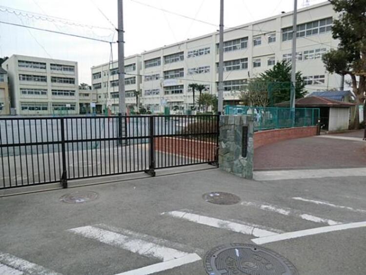 周辺 横浜市立三保小学校まで約340ｍ