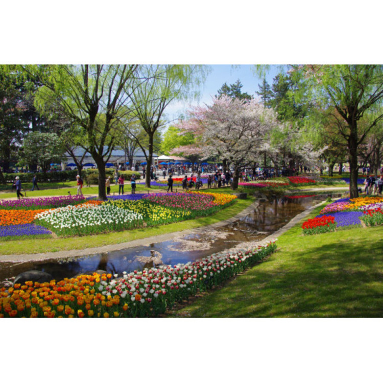 周辺 昭和記念公園(約450m)