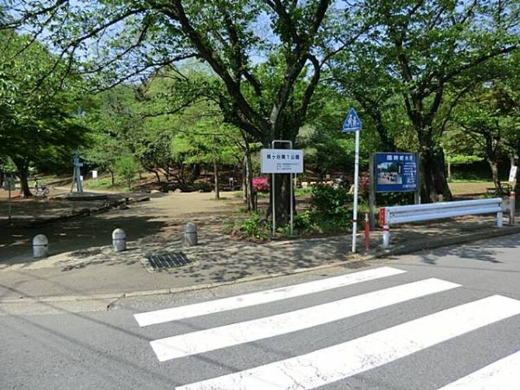 周辺 梶ケ谷第一公園 460m