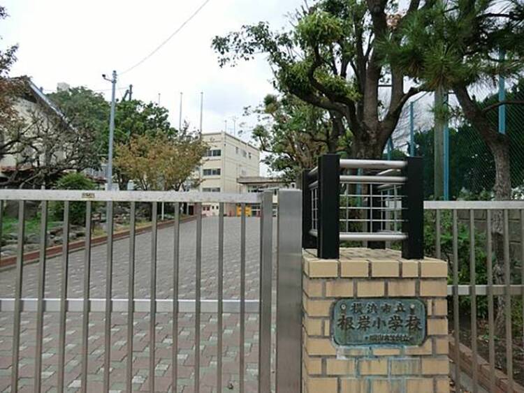周辺 横浜市立根岸小学校　300ｍ