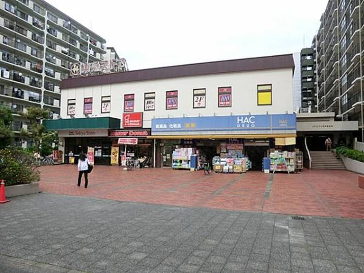 周辺 東急ストア根岸店　310ｍ