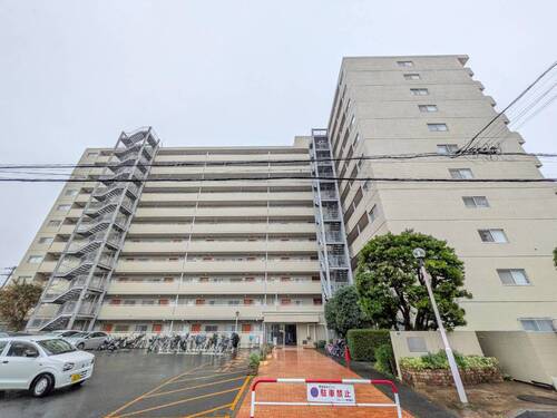 市川ハイツＢ棟の物件画像