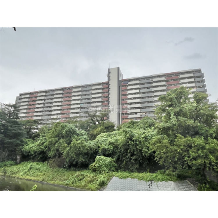 外観 7月26日撮影