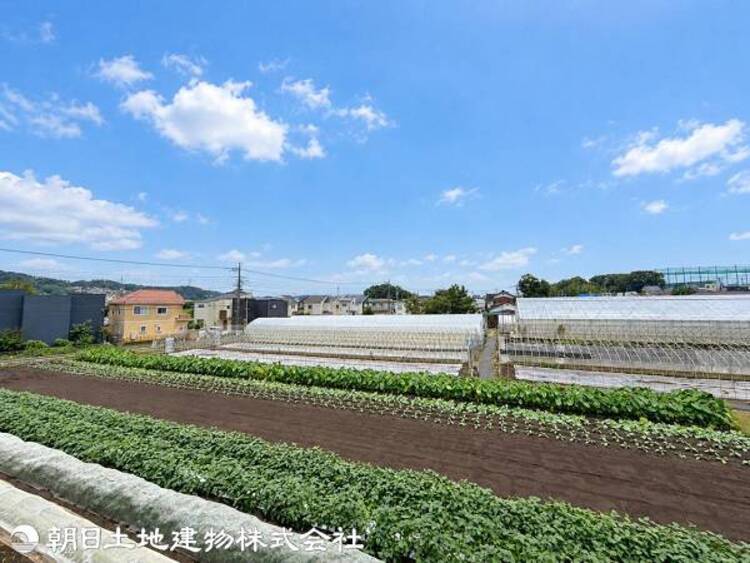 その他 【2026年9月撮影】