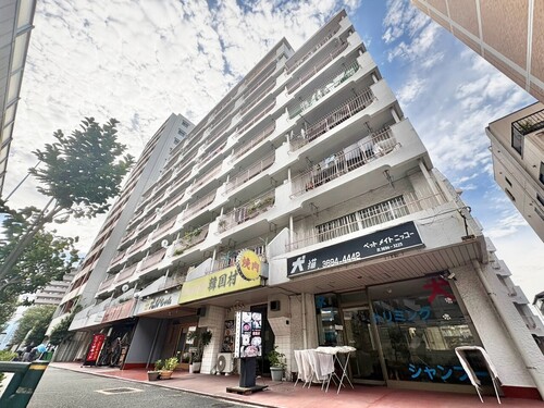 辰巳橋マンションの物件画像