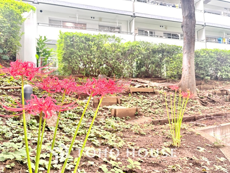 外観 居心地のいい暮らしには欠かせない眩い採光。ゆったりとした幅の窓からこの空間に降り注ぐ採光が絶えない。明るいリビングこそ居心地のいい暮らしが待っているのだと思う。