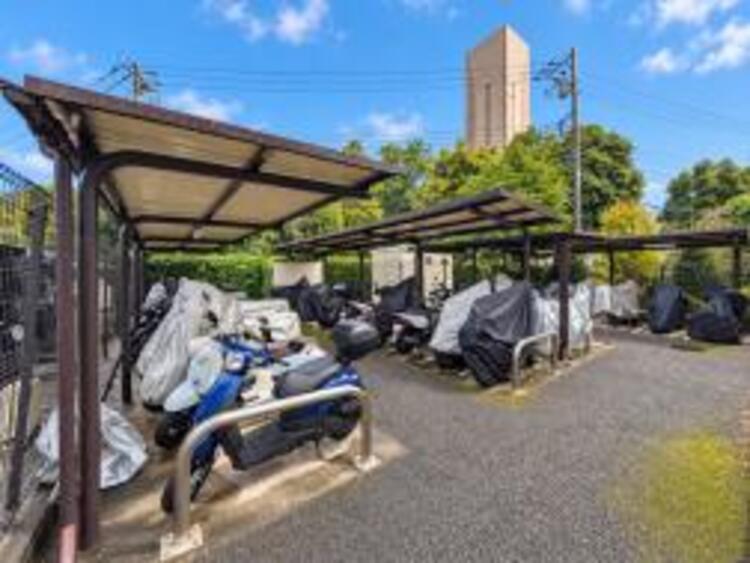 その他 【2026年9月撮影】