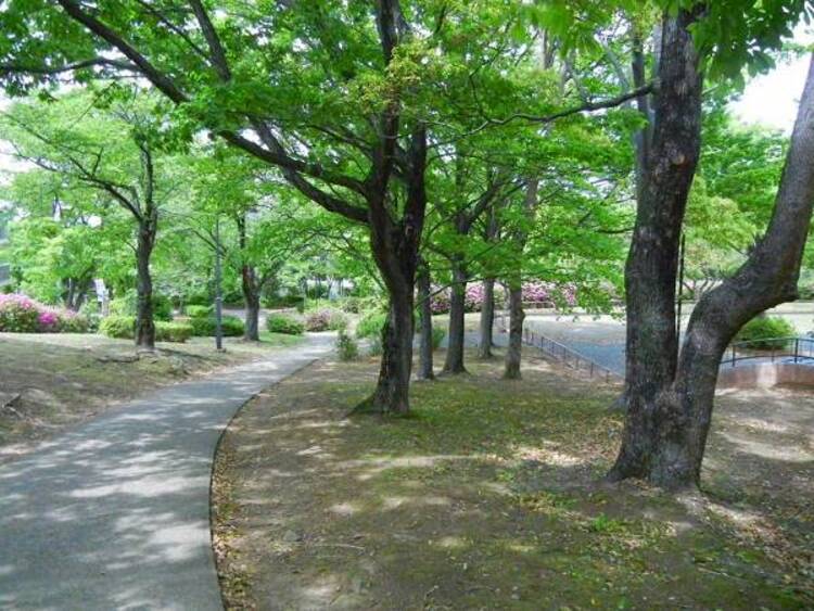 周辺 大塚西公園迄250ｍ