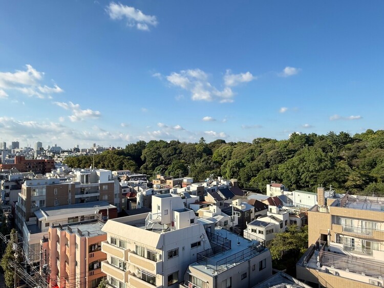 その他 陽当たり・通風・開放感に恵まれた環境です。