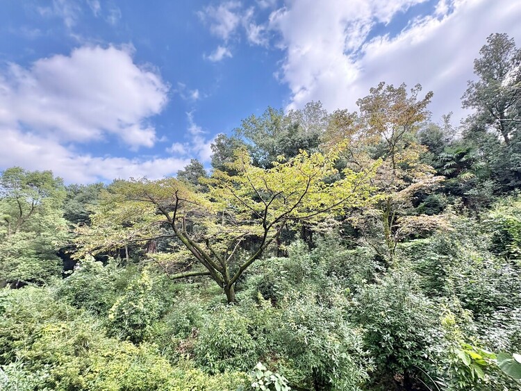 その他 陽当たり・通風・開放感に恵まれた環境です。
