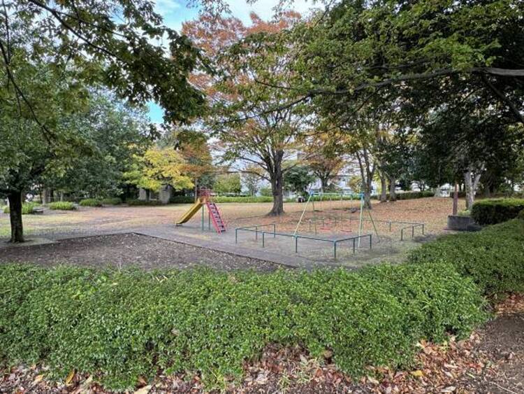 周辺 赤石公園迄470ｍ