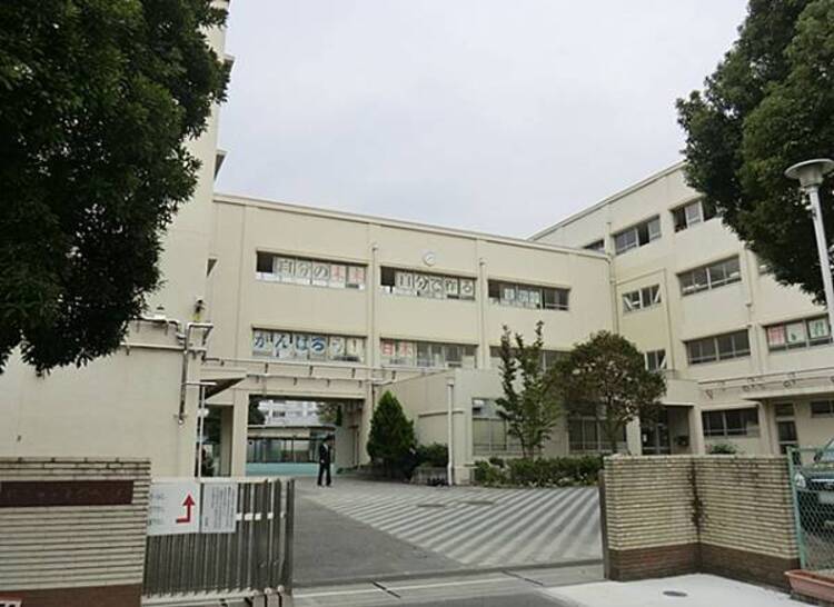 周辺 横浜市立東野中学校まで約340ｍ
