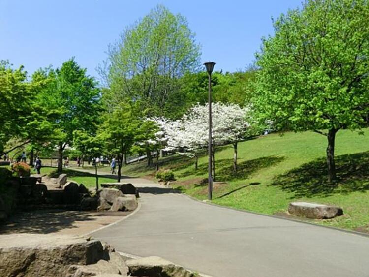 周辺 岸根公園　750m
