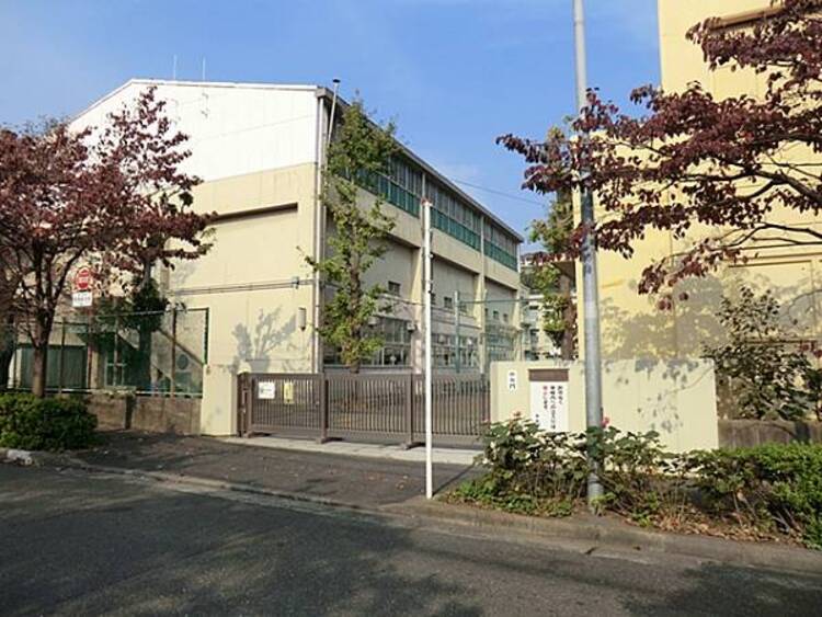 周辺 横浜市立星川小学校まで約880ｍ