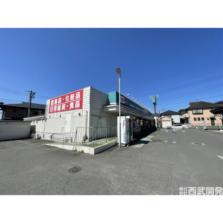 周辺 セイムス(約290m)