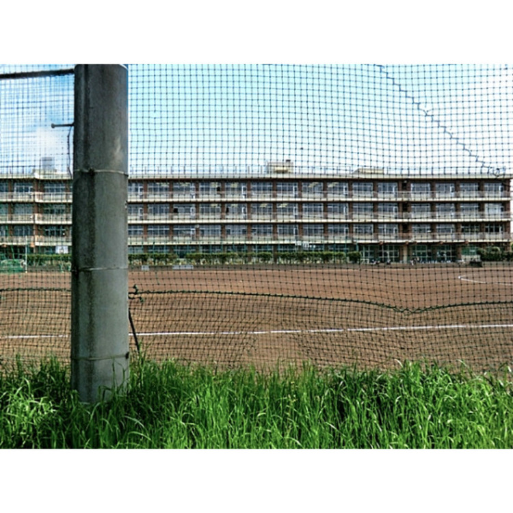 周辺 南陵中学校(約1300m)