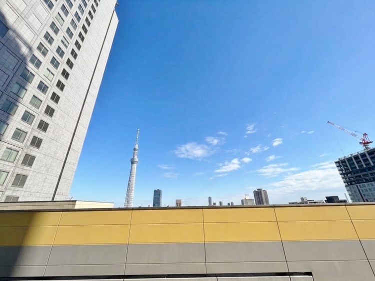 その他 陽当たり・通風・開放感に恵まれた環境です。