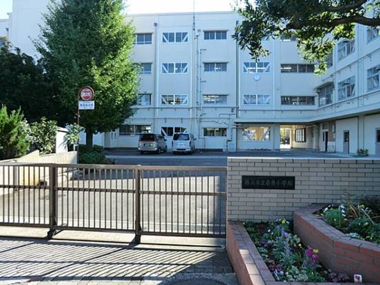 周辺 横浜市立奈良小学校まで約270ｍ