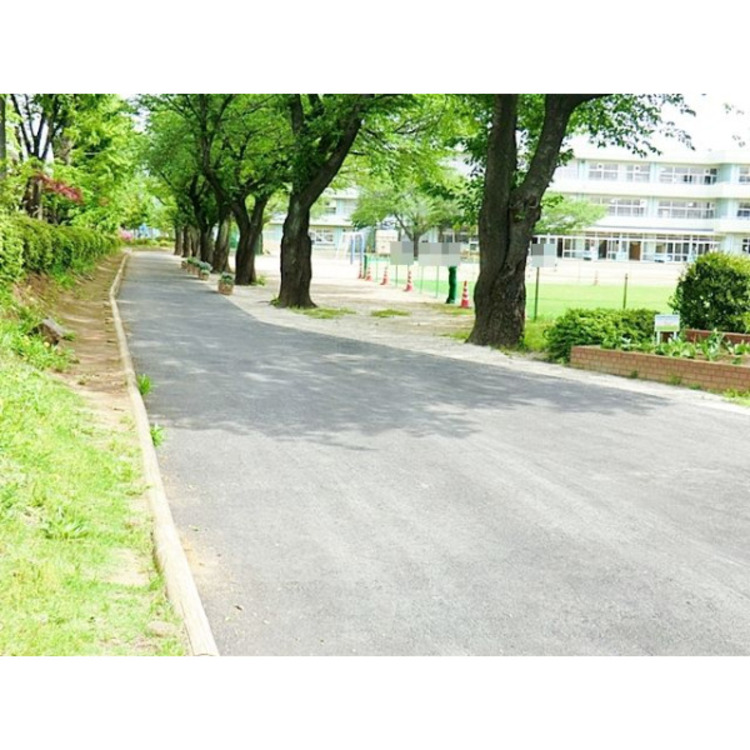 周辺 新座市立栄小学校(約500m)