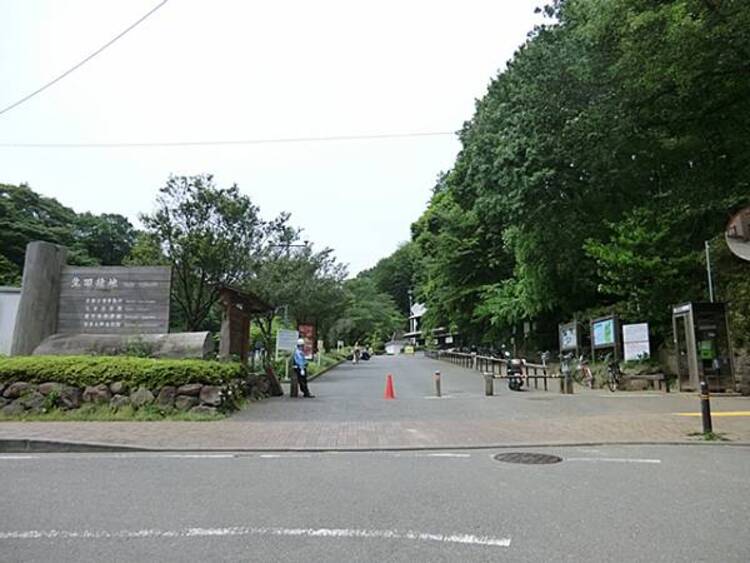周辺 生田緑地　1580ｍ