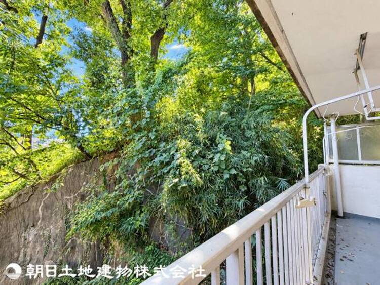 その他 【2026年10月撮影】