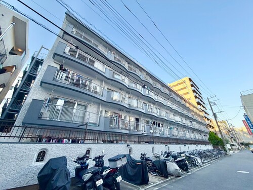 カーサ錦糸町の物件画像