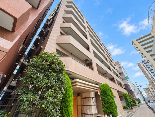 日神パレステージ新板橋の物件画像