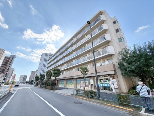 金町ハイツの物件画像