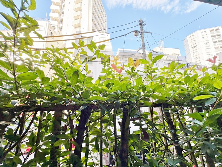 その他 眺望や窓からの景色が良いと、家で過ごす時間も快適です。