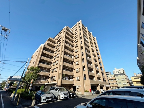 グランイーグル多摩川緑地Vの物件画像