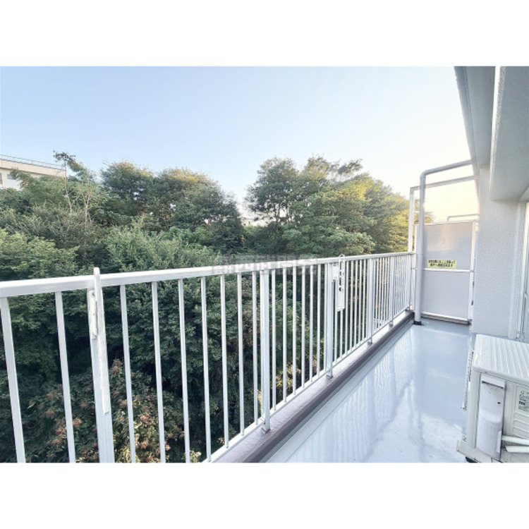 バルコニー 10月8日撮影
